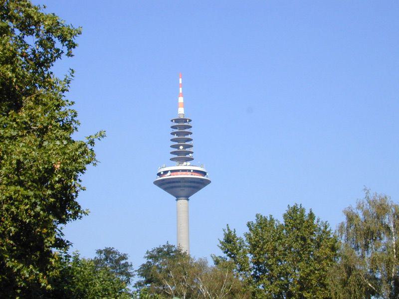 Bockenheims "Ginnheimer Spargel"