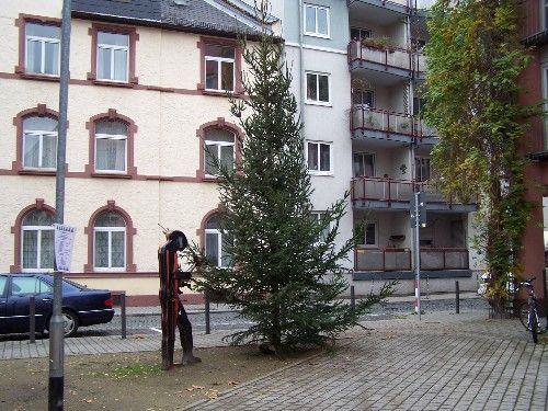 ... und bald hat er 900 Lichter!