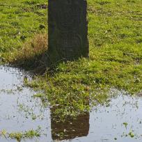 Der Dreimärker