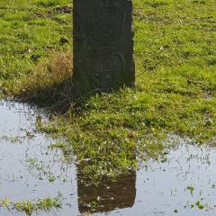 Der Dreimärker